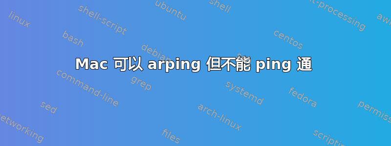 Mac 可以 arping 但不能 ping 通