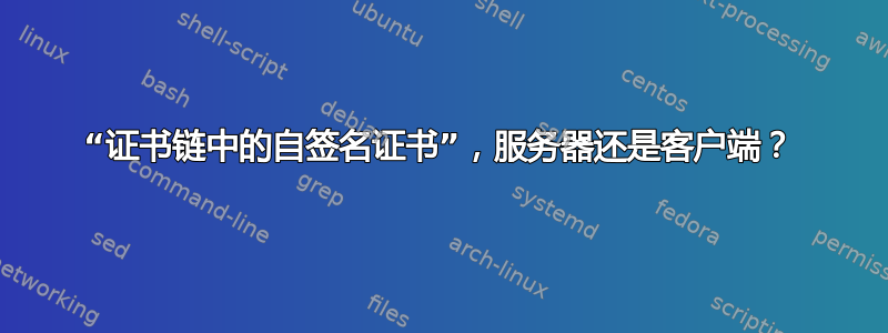 “证书链中的自签名证书”，服务器还是客户端？