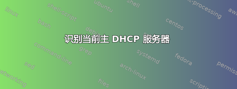 识别当前主 DHCP 服务器