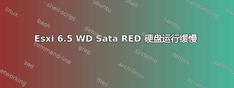 Esxi 6.5 WD Sata RED 硬盘运行缓慢