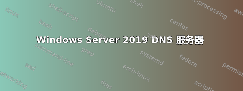 Windows Server 2019 DNS 服务器