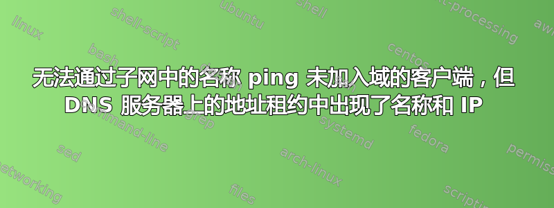 无法通过子网中的名称 ping 未加入域的客户端，但 DNS 服务器上的地址租约中出现了名称和 IP