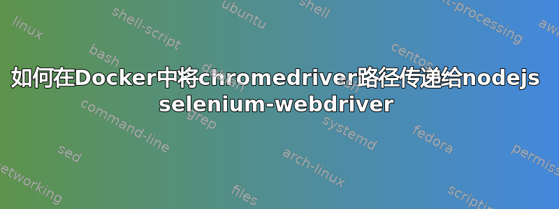 如何在Docker中将chromedriver路径传递给nodejs selenium-webdriver