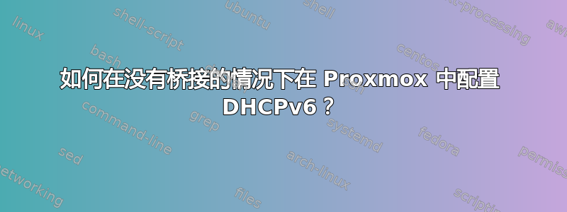 如何在没有桥接的情况下在 Proxmox 中配置 DHCPv6？