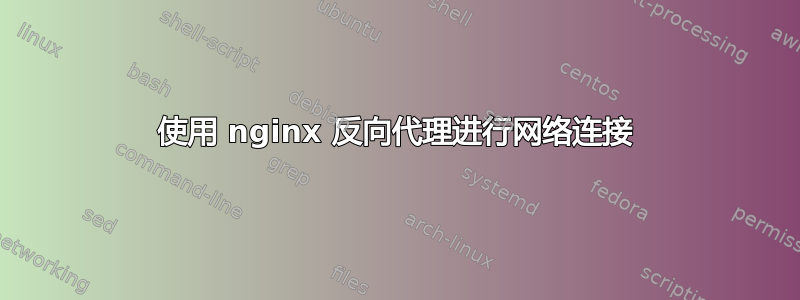 使用 nginx 反向代理进行网络连接