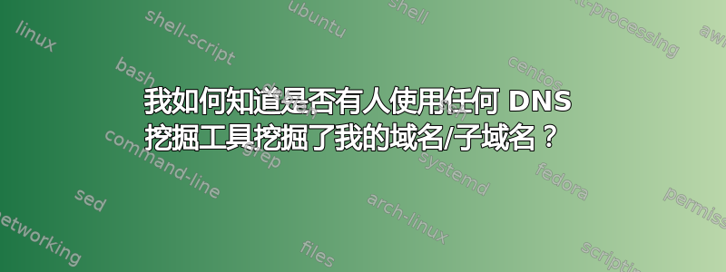 我如何知道是否有人使用任何 DNS 挖掘工具挖掘了我的域名/子域名？ 