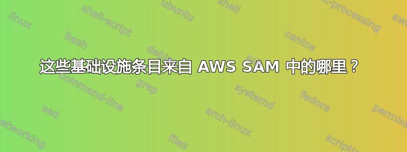 这些基础设施条目来自 AWS SAM 中的哪里？