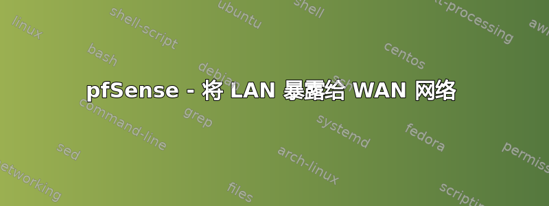 pfSense - 将 LAN 暴露给 WAN 网络