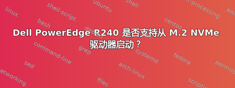 Dell PowerEdge R240 是否支持从 M.2 NVMe 驱动器启动？