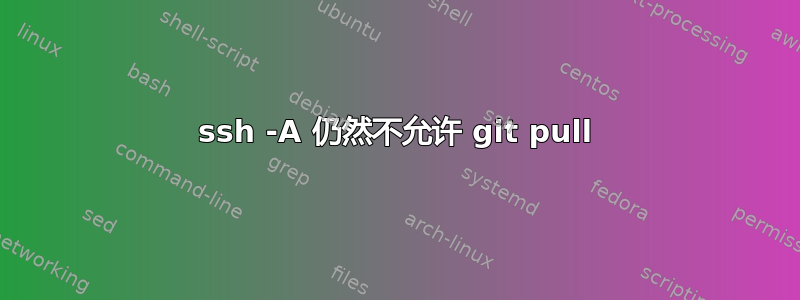 ssh -A 仍然不允许 git pull