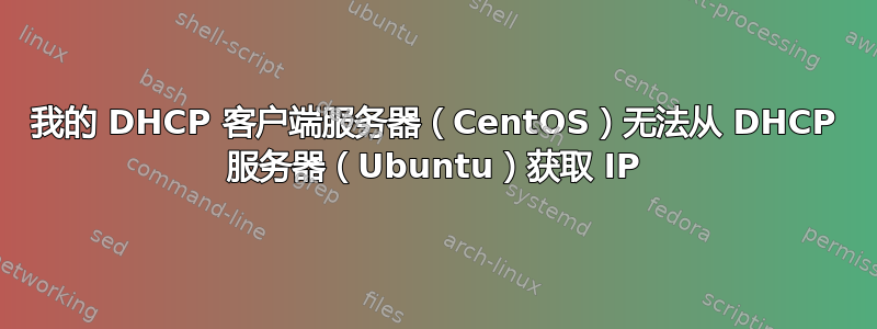 我的 DHCP 客户端服务器（CentOS）无法从 DHCP 服务器（Ubuntu）获取 IP