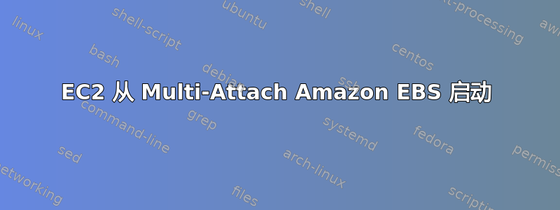 EC2 从 Multi-Attach Amazon EBS 启动