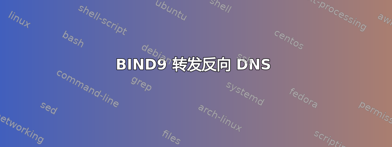 BIND9 转发反向 DNS