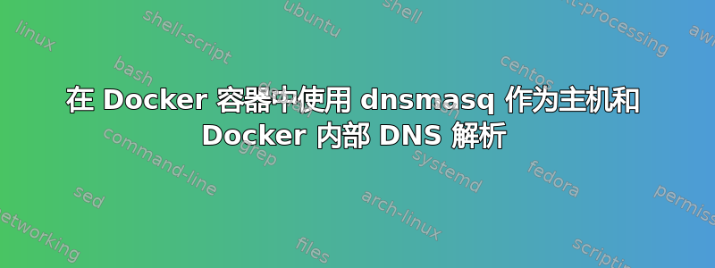 在 Docker 容器中使用 dnsmasq 作为主机和 Docker 内部 DNS 解析