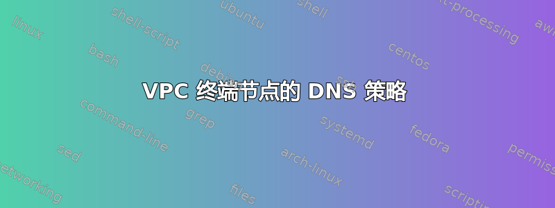 VPC 终端节点的 DNS 策略