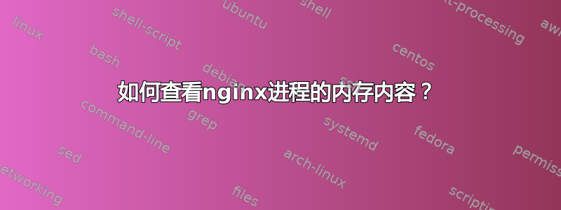 如何查看nginx进程的内存内容？