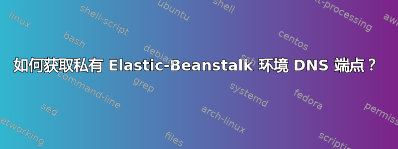 如何获取私有 Elastic-Beanstalk 环境 DNS 端点？