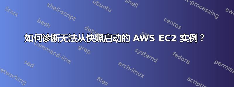 如何诊断无法从快照启动的 AWS EC2 实例？