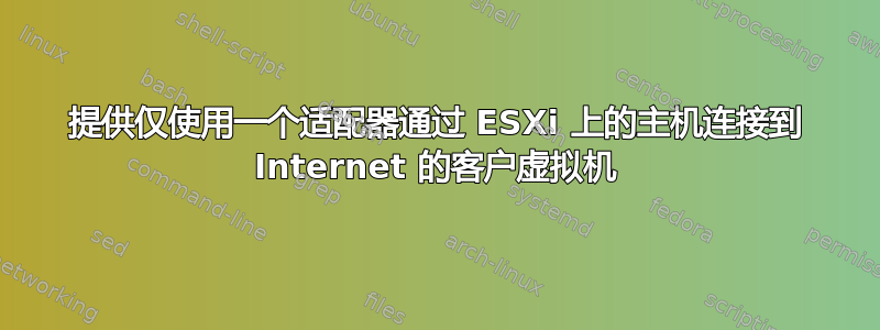 提供仅使用一个适配器通过 ESXi 上的主机连接到 Internet 的客户虚拟机