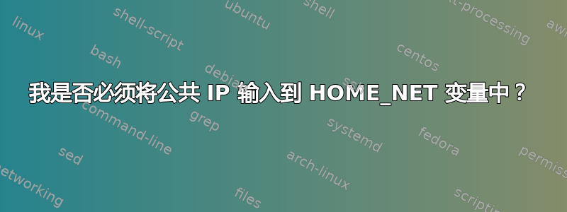 我是否必须将公共 IP 输入到 HOME_NET 变量中？