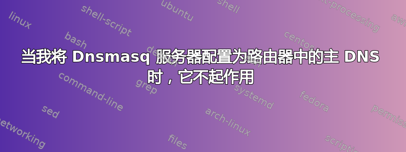 当我将 Dnsmasq 服务器配置为路由器中的主 DNS 时，它不起作用