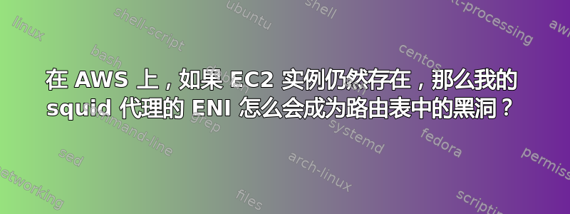 在 AWS 上，如果 EC2 实例仍然存在，那么我的 squid 代理的 ENI 怎么会成为路由表中的黑洞？