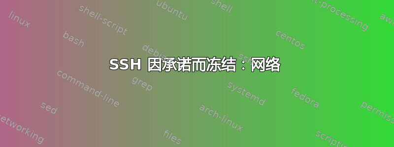 SSH 因承诺而冻结：网络