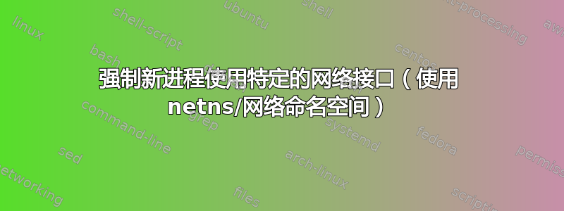 强制新进程使用特定的网络接口（使用 netns/网络命名空间）