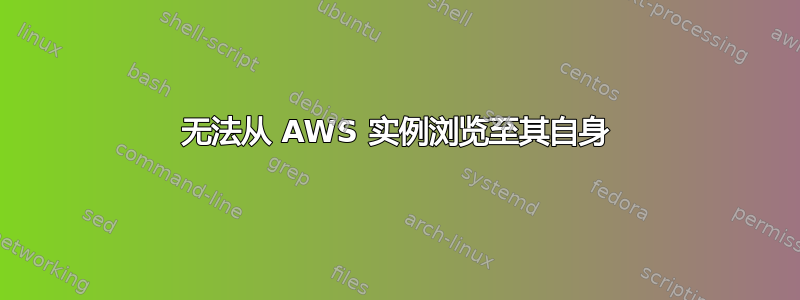 无法从 AWS 实例浏览至其自身