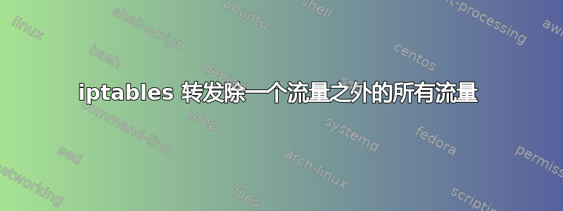 iptables 转发除一个流量之外的所有流量