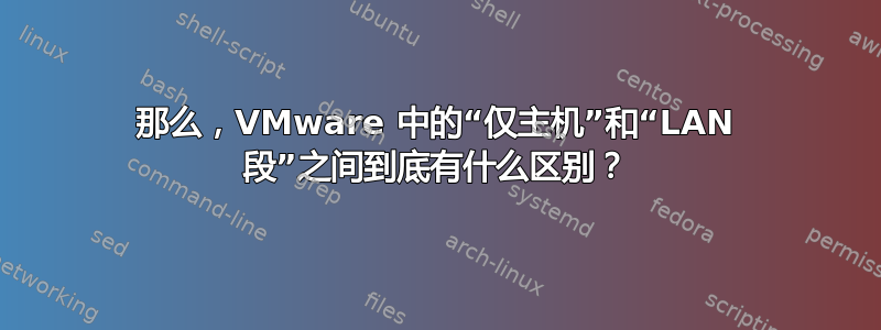 那么，VMware 中的“仅主机”和“LAN 段”之间到底有什么区别？