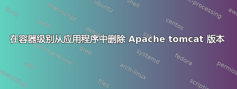 在容器级别从应用程序中删除 Apache tomcat 版本