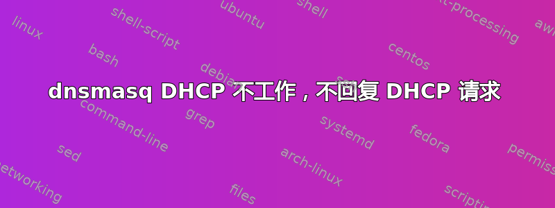 dnsmasq DHCP 不工作，不回复 DHCP 请求