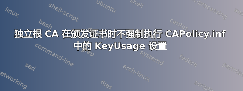 独立根 CA 在颁发证书时不强制执行 CAPolicy.inf 中的 KeyUsage 设置