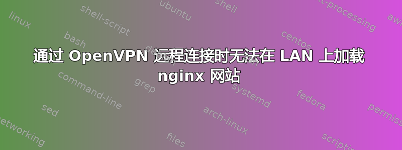 通过 OpenVPN 远程连接时无法在 LAN 上加载 nginx 网站