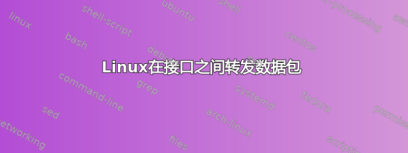 Linux在接口之间转发数据包