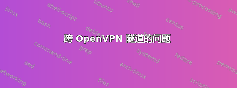 跨 OpenVPN 隧道的问题