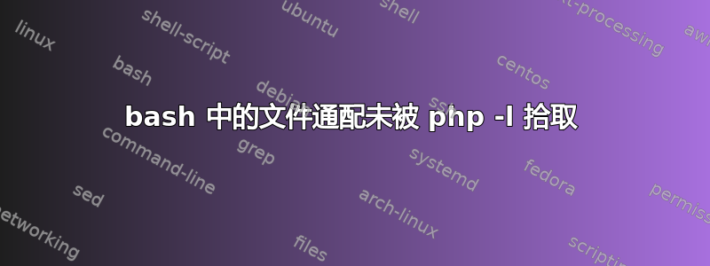 bash 中的文件通配未被 php -l 拾取