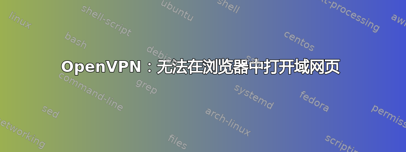 OpenVPN：无法在浏览器中打开域网页