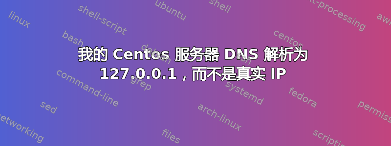 我的 Centos 服务器 DNS 解析为 127.0.0.1，而不是真实 IP