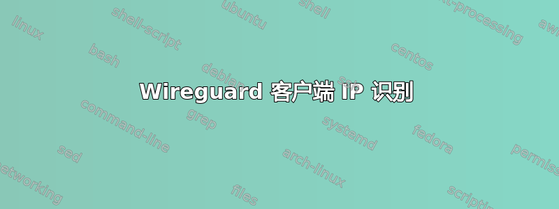 Wireguard 客户端 IP 识别