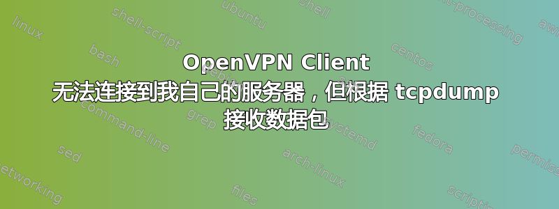 OpenVPN Client 无法连接到我自己的服务器，但根据 tcpdump 接收数据包