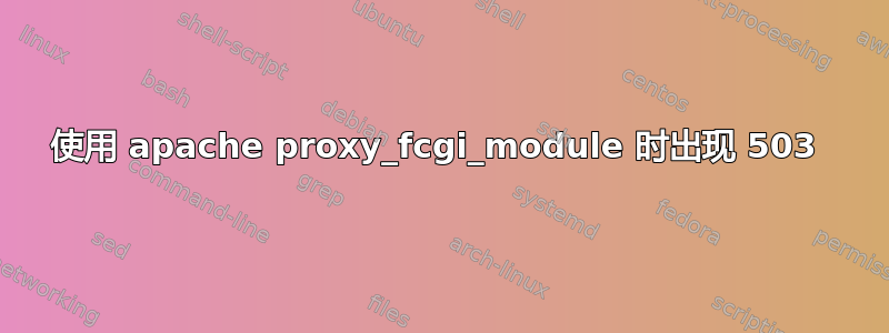 使用 apache proxy_fcgi_module 时出现 503 