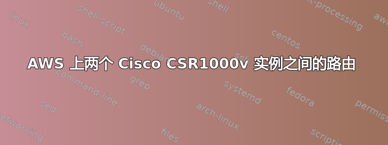 AWS 上两个 Cisco CSR1000v 实例之间的路由