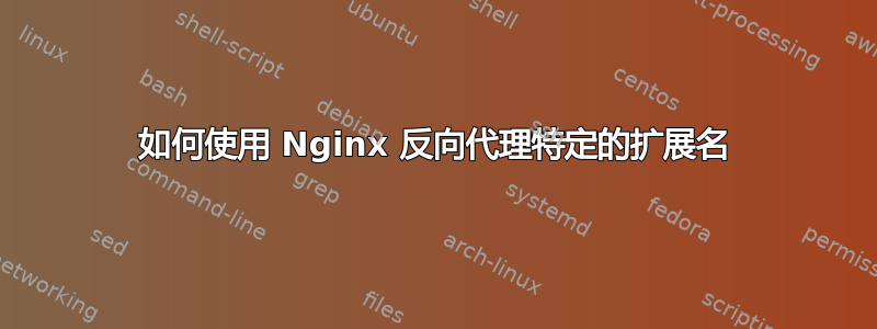 如何使用 Nginx 反向代理特定的扩展名