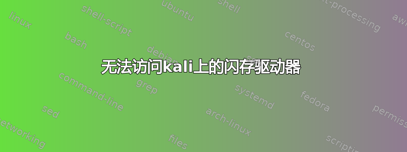 无法访问kali上的闪存驱动器