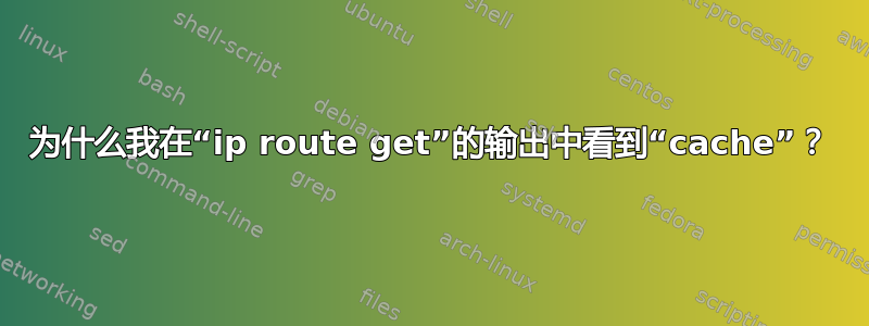 为什么我在“ip route get”的输出中看到“cache”？