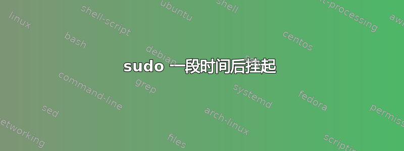 sudo 一段时间后挂起