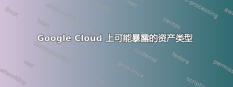 Google Cloud 上可能暴露的资产类型