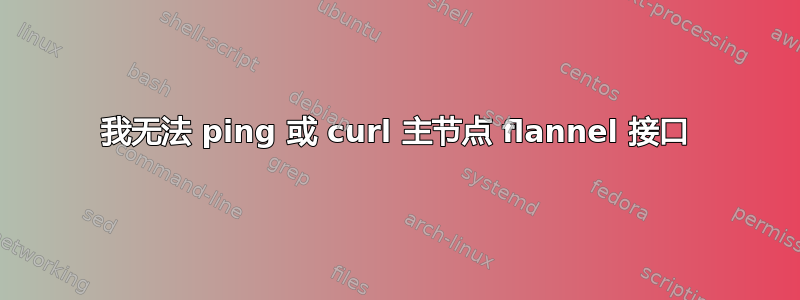 我无法 ping 或 curl 主节点 flannel 接口